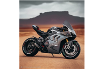 Carenado Racing Pintado Ducati Panigale V4 V4S 2020 - 2021 - MXPCRV17954