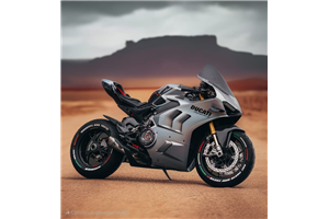 Carene Racing Verniciate Ducati Panigale V4 V4S 2020 - 2021 - MXPCRV17954