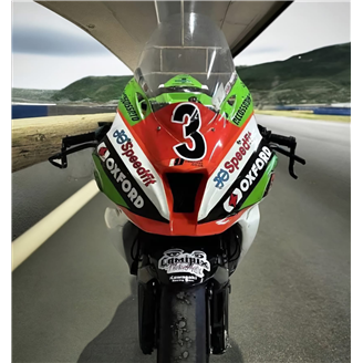 Carene Racing Verniciate Kawasaki Zx10R 2016 - 2020 - MXPCRV17985