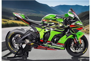 Painted Race Fairings Kawasaki Zx10R 2016 - 2020 - MXPCRV18045