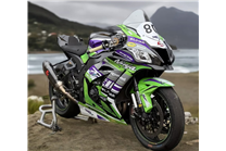 Carenage Racing Peint Kawasaki Zx10R 2016 - 2020 - MXPCRV18046