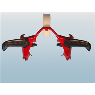 Alette DX SX in Carbonio Ducati Panigale V4 R - MXPCCB16744