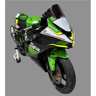 Lackierte Rennverkleidung Kawasaki Zx6R 2019 - 2023 - MXPCRV18130