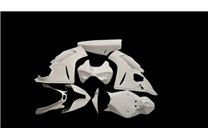 Ducati Panigale V4 V4R 2025 fairings in 5 pieces without front fender - MXPCRD18269 2