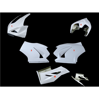 Ducati Panigale 955 V2 2020 - 2024 race Fairings without Front Fender Original exhaust (o: Stock exhaust) - MXPCRD18273