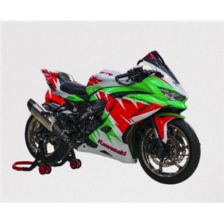 Painted Race Fairings Kawasaki Ninja ZX4-R 2024 - 2025 - MXPCRV18291