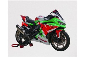Carenage Racing Peint Kawasaki Ninja ZX4-R 2024 - 2025 - MXPCRV18291