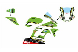 Carene Racing Verniciate Kawasaki Zx10R 2021 - 2025 MXPCRV18348