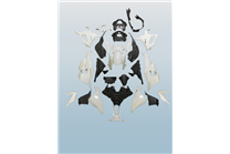 Bmw S 1000 RR 2023 - 2024 Complete and unpainted farings in abs with front fender - MXPCAD17322