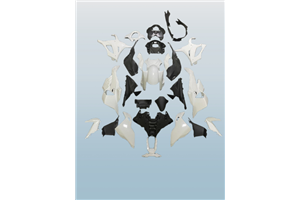 Bmw S 1000 RR 2023 - 2024 Complete and unpainted farings in abs with front fender - MXPCAD17322
