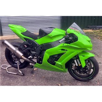 Lackierte Rennverkleidung Kawasaki Zx10R 2016 - 2020 mit 2 Farben - MXPCRV5992