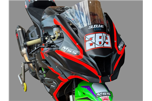 Lackierte Rennverkleidung Kawasaki Zx10R 2016 - 2020 - MXPCRV18387