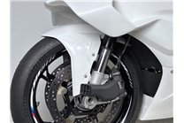 Parafango anteriore Bmw S 1000 RR 2025-2026 -MXPCRD18409