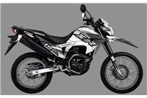 Kit Autocollants compatible avec per HONDA XR 190L 2019 - 2020 - MXPKAD18535