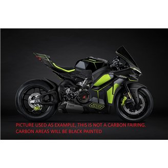Carenage abs pour la roue avec peinture avec Ducati Panigale V4 V4S 2025 - MXPCAV18559