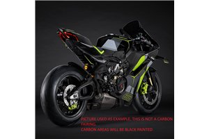 Carene Racing Verniciate Ducati Panigale V4 V4S V4R 2025 + alette - MXPCRV18560