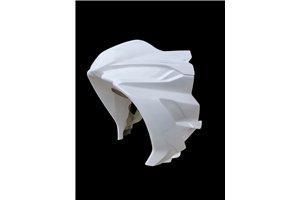 Paquete Motoxpricambi para el circuito : Carenado + tornilleria rapida - MXPCRD18769