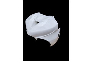 carenado completo sin guardabarros Triumph Daytona 675 2006 2012 - MXPCRD1851