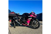 Lackierte Rennverkleidung Suzuki Gsx-8R 2024 - 2025 - MXPCRV18776