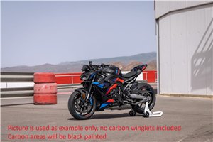 Painted street fairings in abs compatible with Bmw S1000R 2025 - 2026 - MXPCAV18826