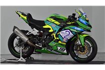 Carenado Racing Pintado Kawasaki Ninja ZX4-R 2024 - 2025 - MXPCRV18339