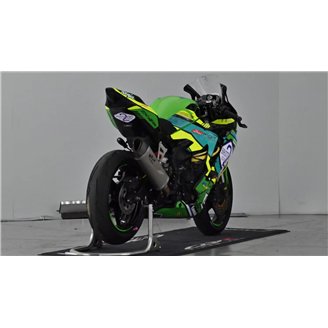 Carene Racing Verniciate Kawasaki Ninja ZX4-R 2024 - 2025 - MXPCRV18339