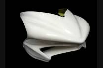 Verkleidungen MV Agusta F4 1000 2010 - 2020 vorderer ohne Hoecker Racing - MXPCRD3003