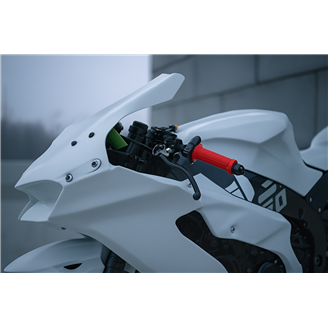 Carene Kawasaki Zx10R 2021 -2025 senza parafango - MXPCRD14189