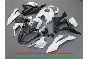 Carenados en abs pintados para la calle compatible con Bmw S1000XR 2015 - 2019 - MXPCAV18817