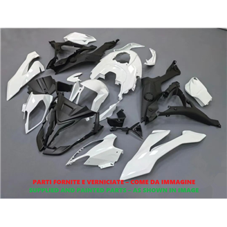 Carenage en abs pour la roue avec peinture compatible avec Bmw S1000XR 2015 - 2019 - MXPCAV18812