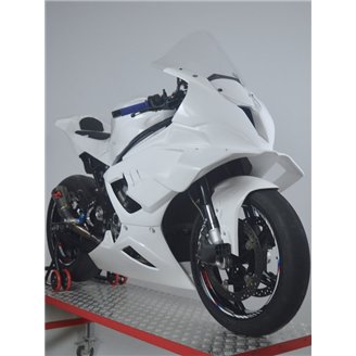 Carene Bmw S1000 RR 2025-2026 senza parafango - MXPCRD18410