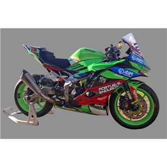 Painted Race Fairings Kawasaki Ninja ZX4-R 2024 - 2025 - MXPCRV18961