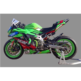 Carene Racing Verniciate Kawasaki Ninja ZX4-R 2024 - 2025 - MXPCRV18961