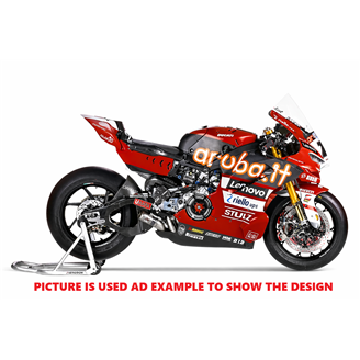 Carene Racing Verniciate Ducati Panigale V4 V4S 2020 - 2021 - MXPCAV19050