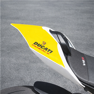 Painted Race Fairings Ducati Panigale V4 V4S 2020 - 2021 - MXPCRV18364