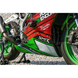 Lackierte Rennverkleidung Kawasaki Ninja ZX4-R 2024 - 2026 - MXPCRV18961