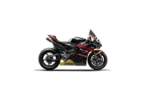 Carenado Racing Pintado Ducati Panigale V4 V4S V4R 2025 - MXPCRV17580