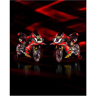 Carenado Racing Pintado Ducati Panigale V4 V4S V4R 2025-2026 +Aletas - MXPCRV18953