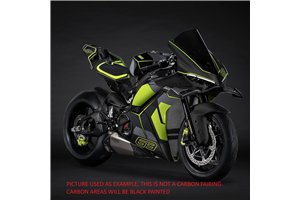 Carene Racing Verniciate Ducati Panigale V4 V4S V4R 2025 + alette - MXPCRV18560