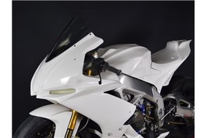 Verkleidungen Aprilia RSV4 2015 - 2020 ohne Kotflugel - MXPCRD5963