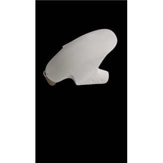 Front fender Ducati Panigale V4 V4S V4R 2025 - MXPCRD18270