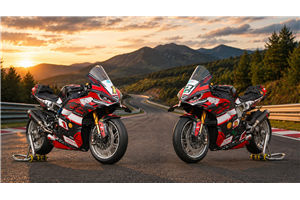 Carenado Racing Pintado Ducati Panigale V4 V4S 2025-2026 +Aletas - MXPCRV19256