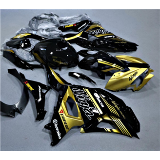 Carenados en abs pintados para la calle compatible con Kawasaki Ninja 500 2024 - 2025 - MXPCAV19290