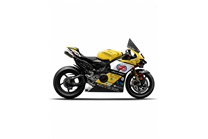 Carenado Racing Pintado Ducati Panigale V4 V4S 2025-2026 +Aletas - MXPCRV17582