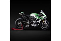 Painted Race Fairings Ducati Panigale V4R 2026 + Winglets - MXPCRV19412