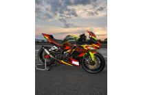 Lackierte Rennverkleidung Kawasaki Ninja ZX4-R 2024 - 2026 - MXPCRV19449