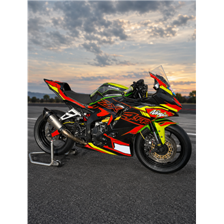 Painted Race Fairings Kawasaki Ninja ZX4-R 2024 - 2026 - MXPCRV19449