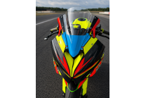 Lackierte Rennverkleidung Kawasaki Ninja ZX4-R 2024 - 2026 - MXPCRV19449 2