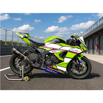 Carene Racing Verniciate Kawasaki Zx6-R 2024-2026 - MXPCRV19450