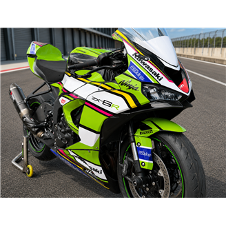 Carene Racing Verniciate Kawasaki Zx6-R 2024-2026 - MXPCRV19450